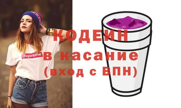 сатива Бородино